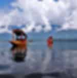 Srinagar Sightseeing Local and 1 Hour Shikara Ride